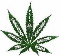 Brooklyn0914's tweet photo. @WeedFeed #Cannabisheals #PillsKill #MarijuanaCreatesRevenue #Jobs  #Healthcare #soothing #relaxing #NotAddictive https://t.co/T4YtHYFW7y