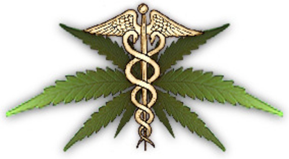 Brooklyn0914's tweet photo. @WeedFeed #Cannabisheals #PillsKill #MarijuanaCreatesRevenue #Jobs  #Healthcare #soothing #relaxing #NotAddictive https://t.co/T4YtHYFW7y