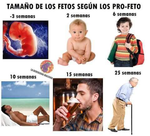 BeaOrtizWario's tweet photo. Las mentirijillas de los #ProFetos. https://t.co/45DXIWY6D0