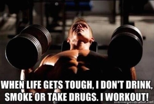 Gym Things tweet media