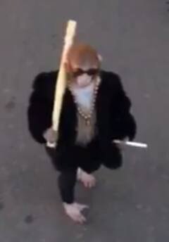 PapaCone_'s tweet photo. Choose your fighter https://t.co/RCN8IcFWnI