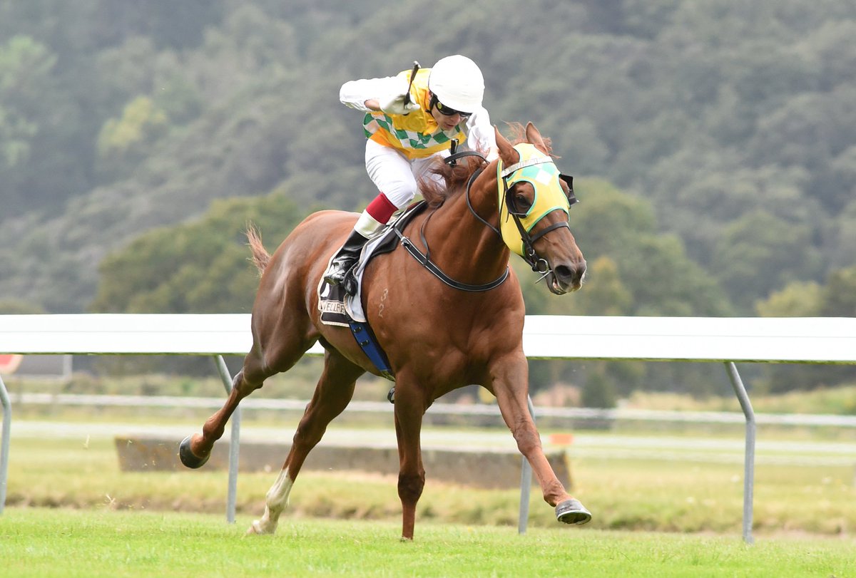 nzracingnews's tweet photo. A rails hugging ride from Masa Tanaka gave #ShadowsCast every chance to snatch victory at Trentham on Saturday https://t.co/N1y326CMcZ https://t.co/iG7Yyj6Bwf