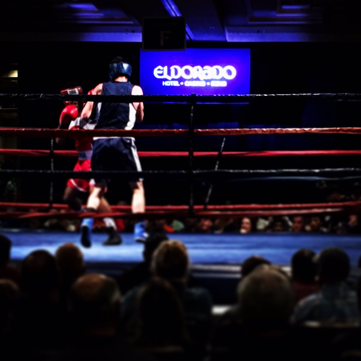 EldoradoReno's tweet photo. @unevadareno takes the #win! 
💙🐺💥🥊
#CollegiateBoxing #Regionals #EldoradoReno #WeLoveReno #Saturday #RenoWeekend #UNR https://t.co/lvJPY6KC8E