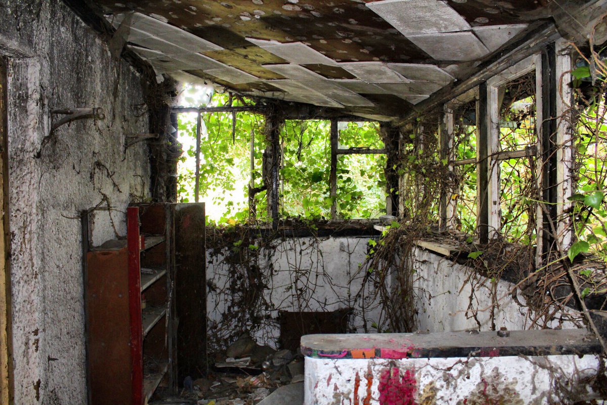 UrbanXploration's tweet photo. Abandoned House, Sandy Lane, Chadwell St Mary, Essex. #abandoned #explore #urbanexplore #adventure #nature #essex https://t.co/RlfZYhooI7
