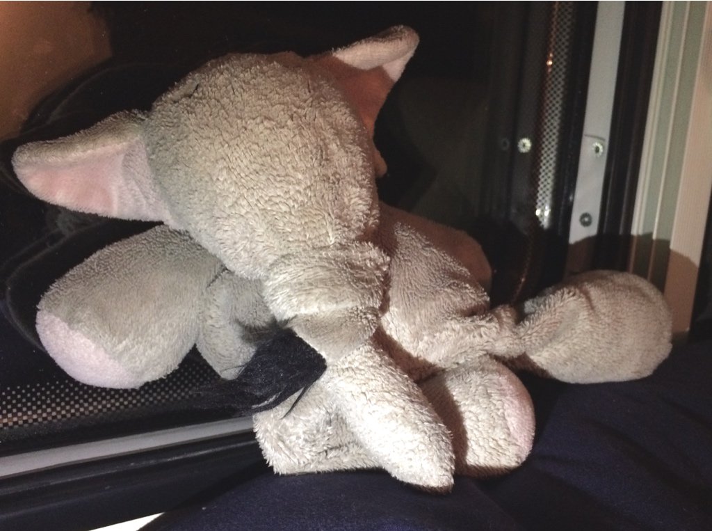 flauschefant's tweet photo. Sie hat einen fahren lassen. Im Wohnmobil. Protipp: Schwanz um Rüssel! https://t.co/KPCvLIOhhA