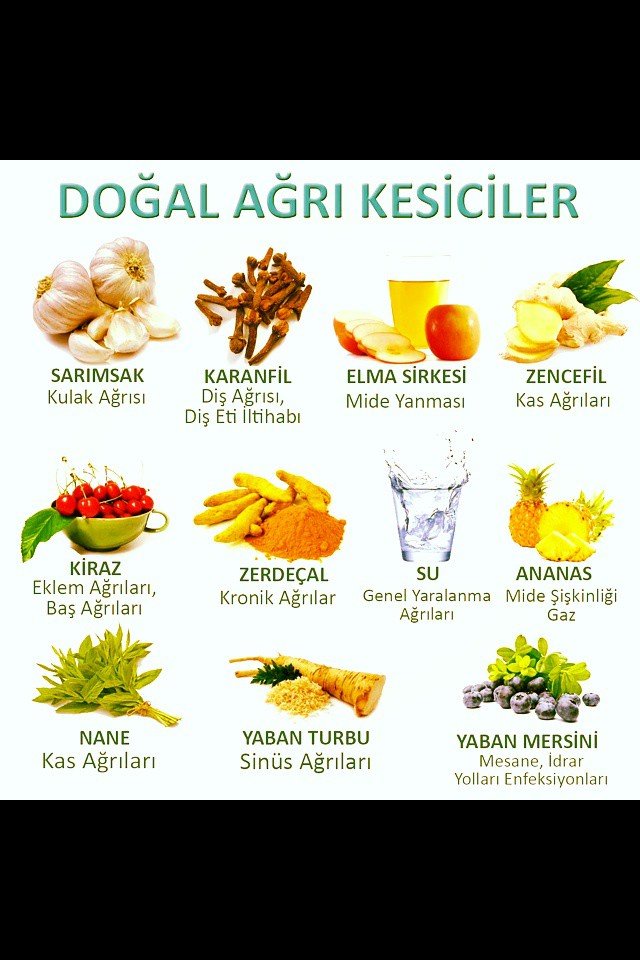 VÜCUDUMUZUN DOĞAL HEKİMLERİ👍