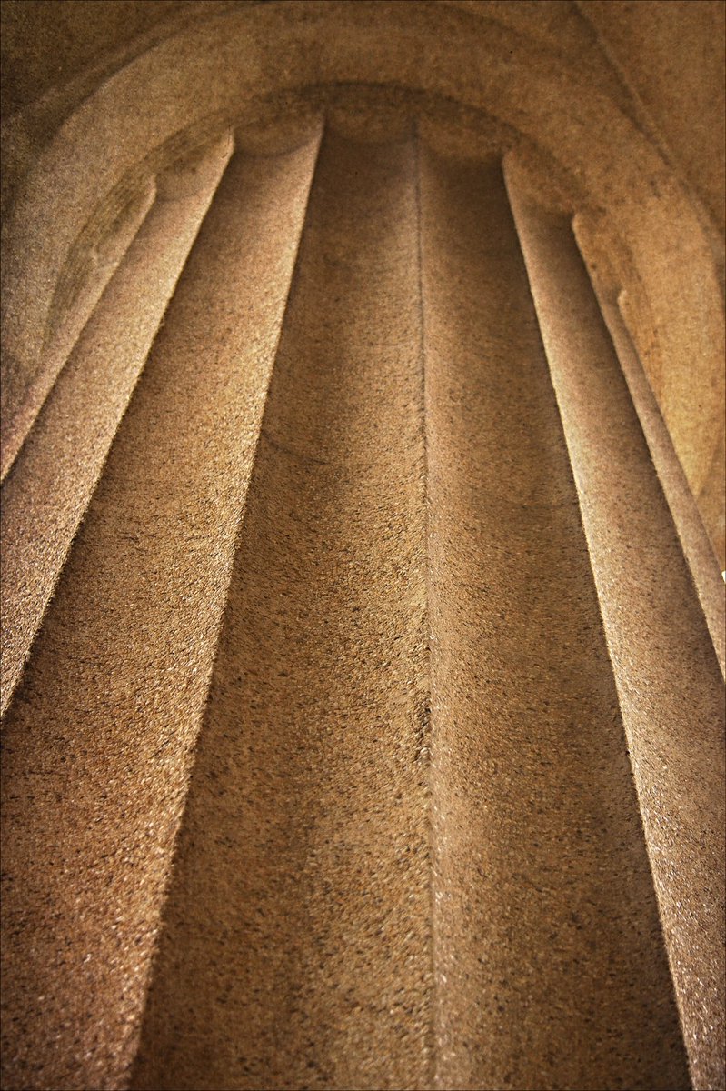 dori_weldon's tweet photo. #column #parthenon #nashville #Tennessee #nikonphotography #SpringBreak2017 https://t.co/7b58yPdDHQ
