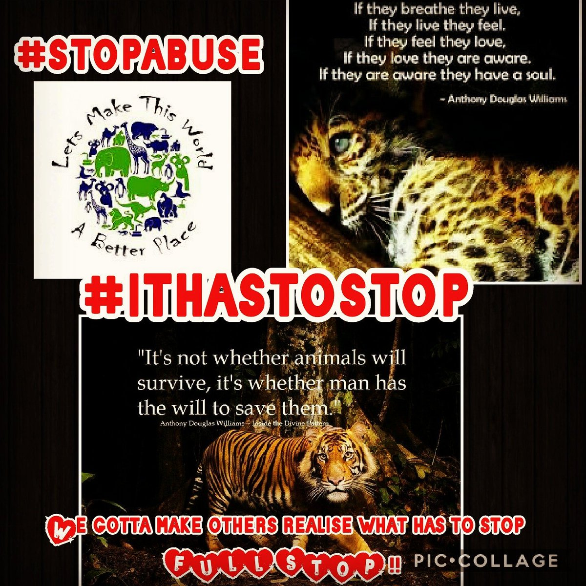 veegz4keeps's tweet photo. Help keep awareness ...we gotta make it stop ...it's gotta stop FULL STOP #stopabuse #theyfeeltoo #makethechange #helptheearth 💚🕊🌲🐞 https://t.co/MZhB6roOJ1