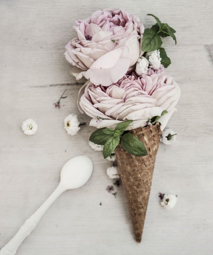 ladyinredstore's tweet photo. Love this! 🌸 

#blooms #icecream #love https://t.co/LfBU3tIIIy