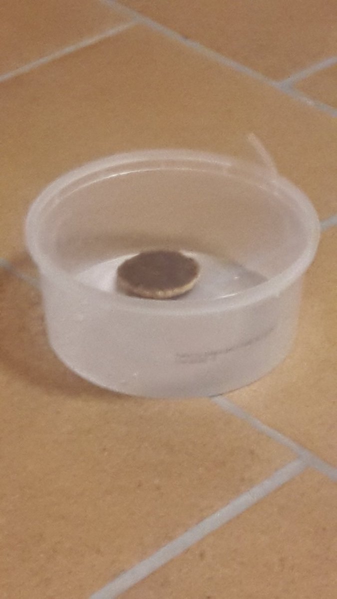eliaasdd's tweet photo. #keksigate on palannut! #aktiivipäivätabc #nuvaperhe https://t.co/4KsoOgmcv9