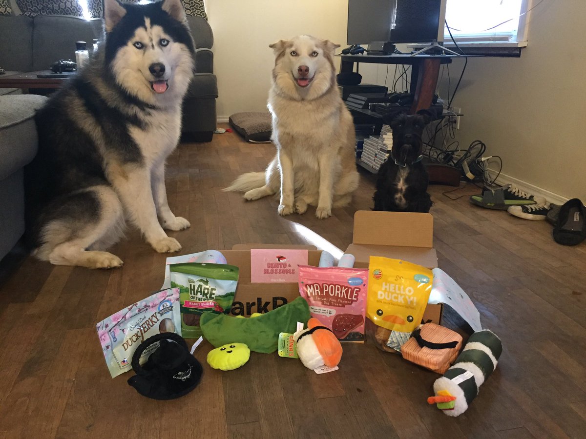 babblebabs's tweet photo. @barkbox day is always a good day, but we LOVE #BarkBento. Now even our dogs eat sushi 😁 https://t.co/bCWgeDkyhX