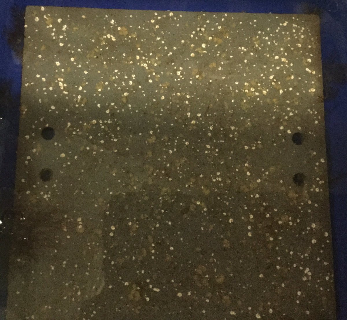 Ed Programs tweet media