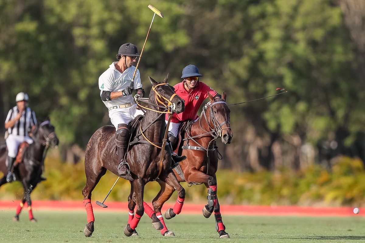 Polo Challenge RD tweet media