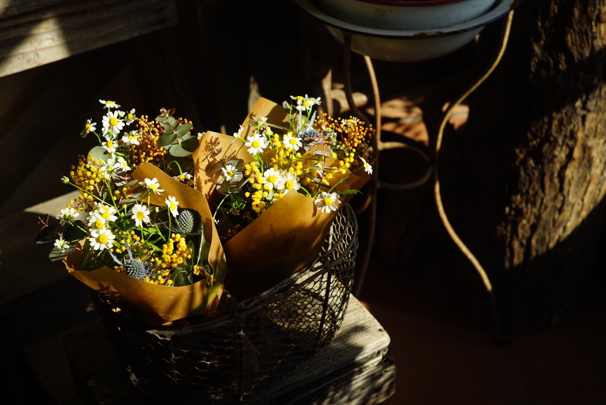 frankieflower01's tweet photo. おはようございます
19(日)10:00openです
ご来店お待ちしております(・∀・)
0467-67-7624

#ブーケ
#花束 https://t.co/dB5InKGc0Q