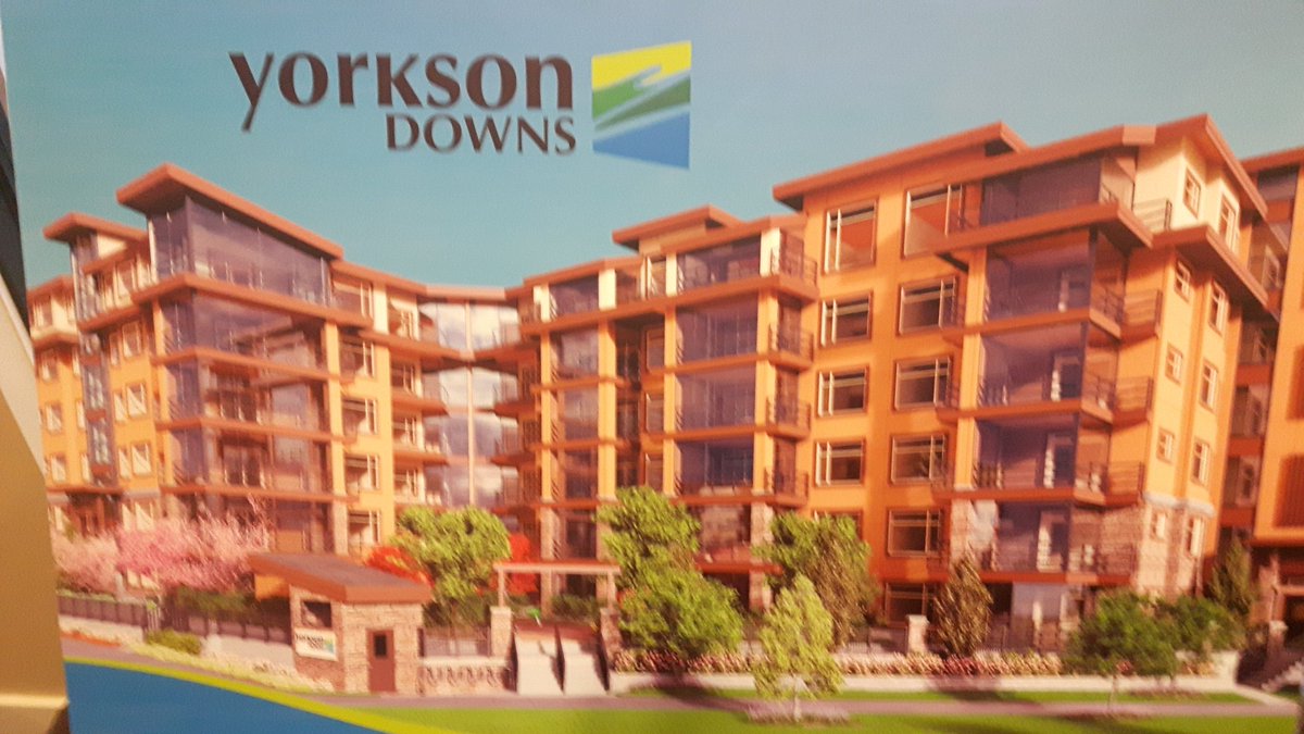 Peter Warkentin tweet media