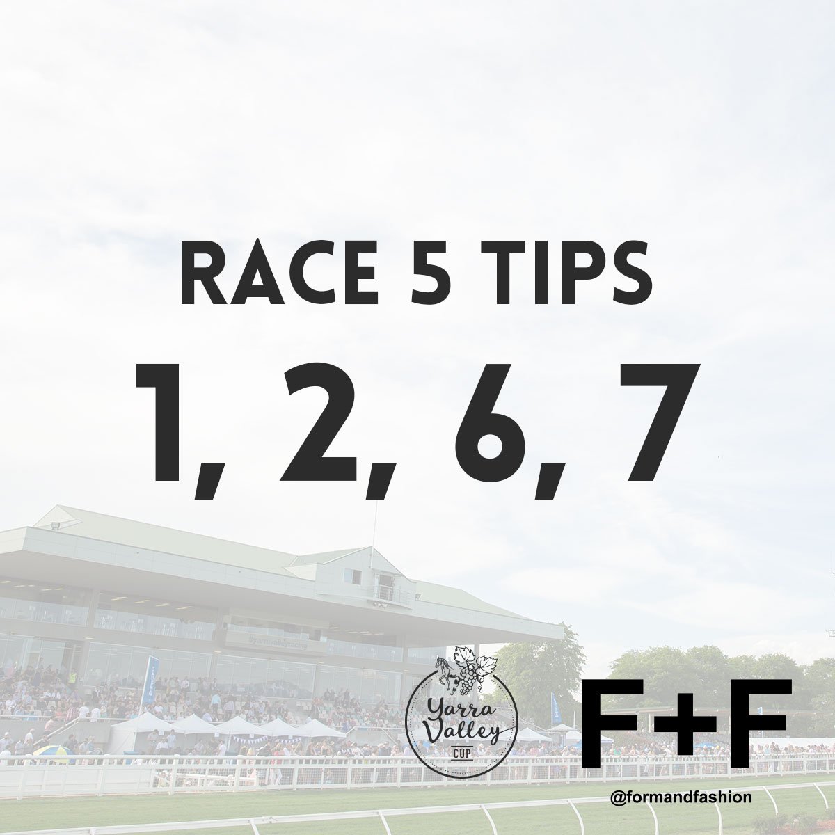 Yarra Valley Racing (@yvracing) on Twitter photo #YVCup Tips for Race 5: 1, 2, 6, 7 #YVCup Tips for Race 5: 1, 2, 6, 7