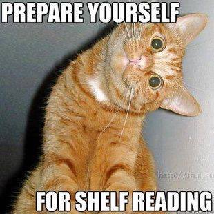 CCSMediaCenter's tweet photo. Librarian humor #shelfreading https://t.co/gT1uRaX18h