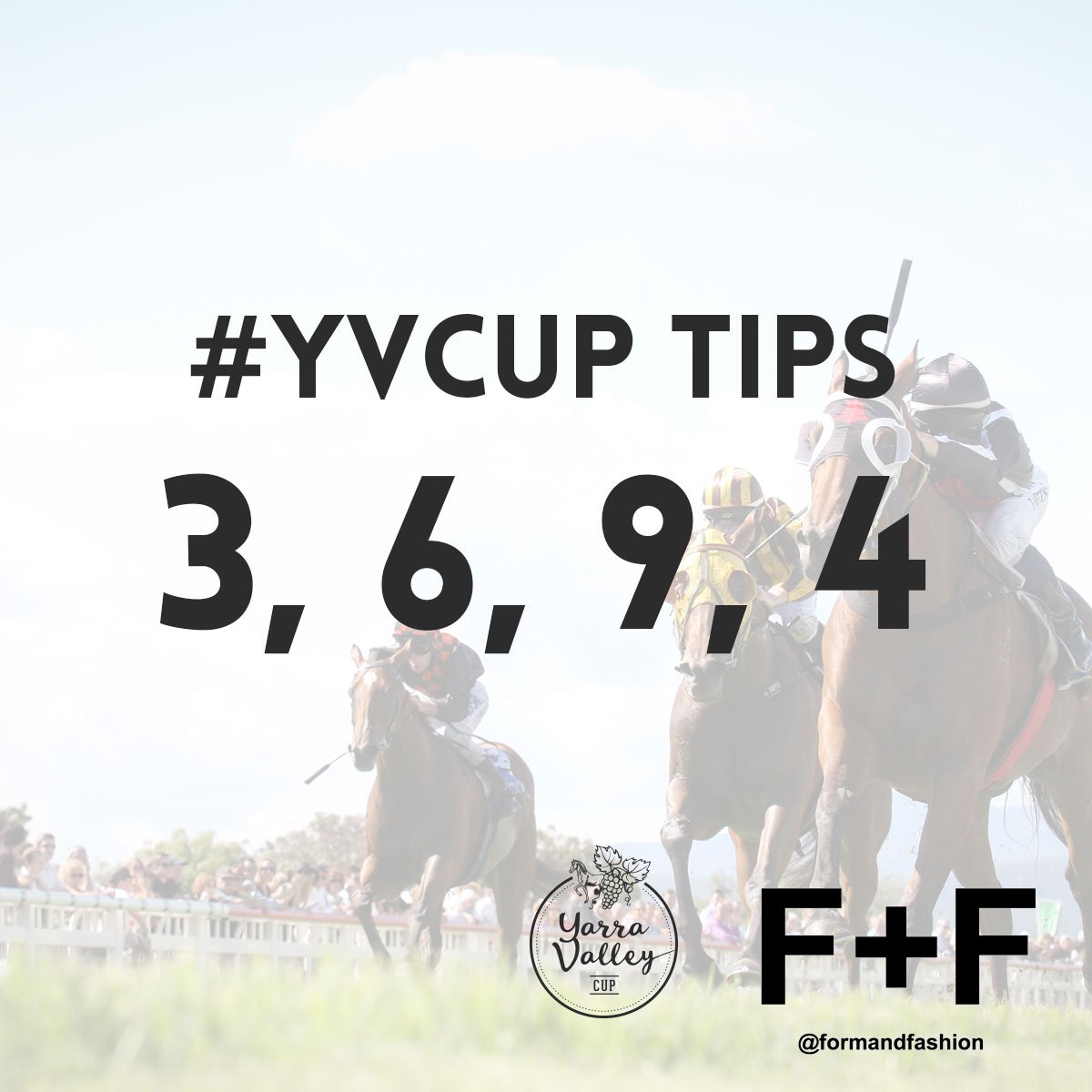 Yarra Valley Racing (@yvracing) on Twitter photo #YVCup Tips for Race 7: 3, 6, 9, 4 #YVCup Tips for Race 7: 3, 6, 9, 4