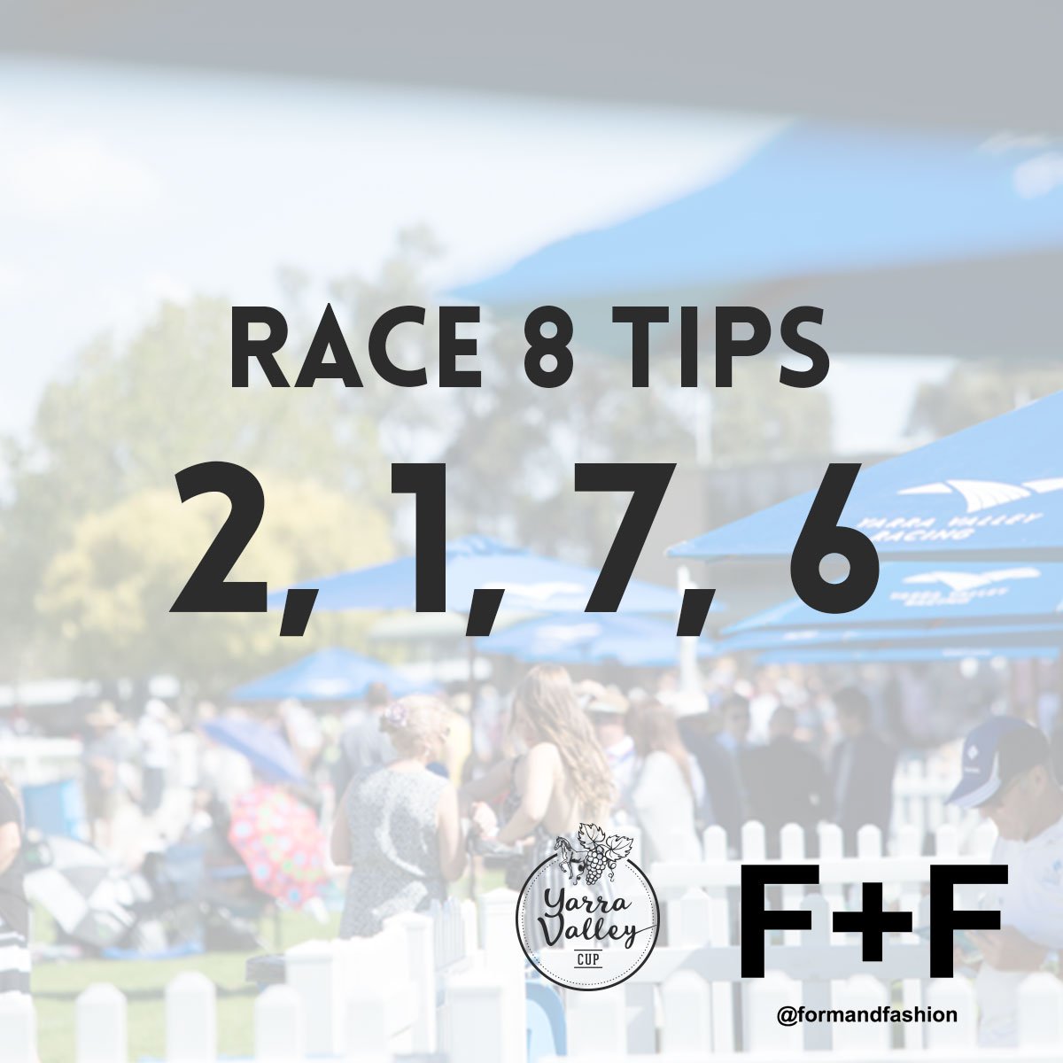 #YVCup Tips for Race 8: 2, 1, 7, 6