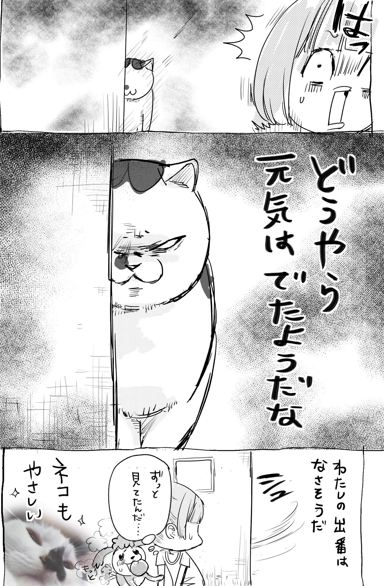 辛くて落ち込んでいる時に励ましてくれる犬と猫ｗｗｗ