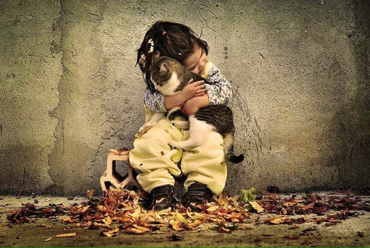 vito diocesano tweet media