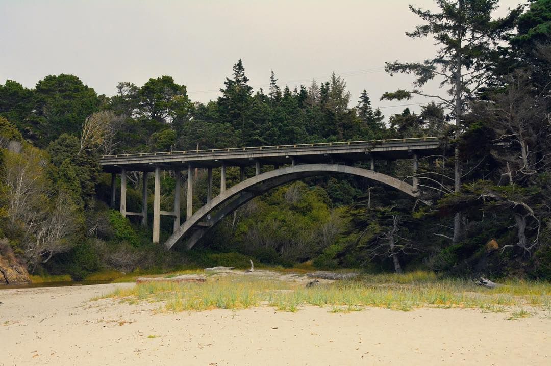 ajustcup's tweet photo. Alicia at Jughandle Beach, between Fort Bragg and Mendocino!
#jughandlebeach #mendocino https://t.co/v32qgXjNwb