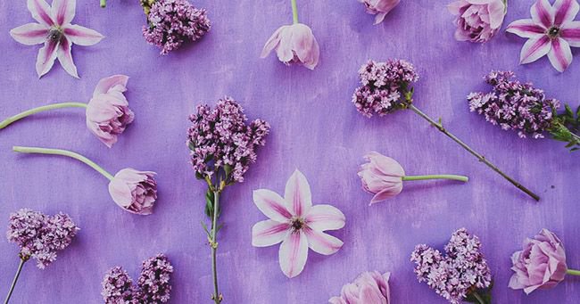 grnweddingshoes's tweet image. The springtime buds are blooming + we've got all the florals you need to know! buff.ly/2nh0dTL