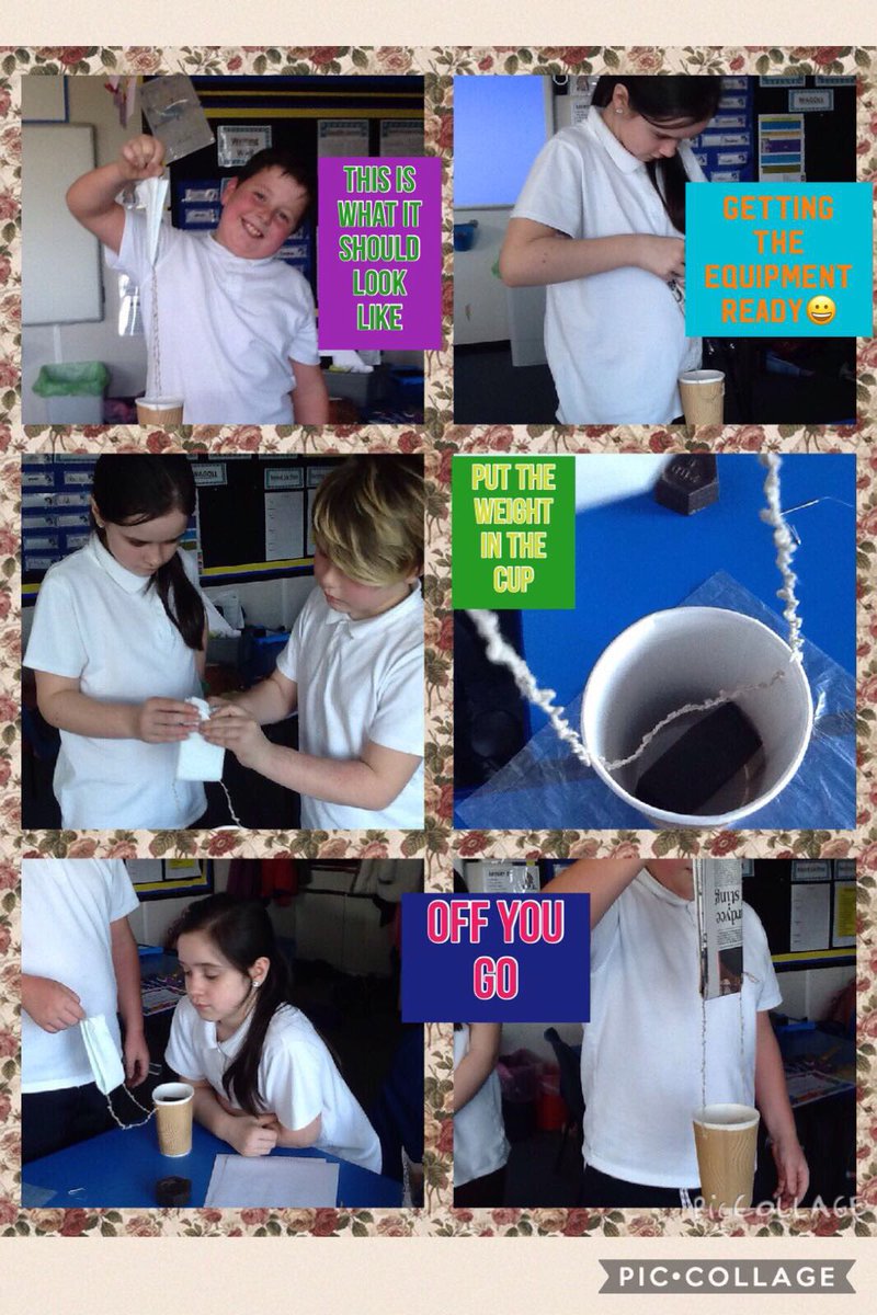 CCPPSchool's tweet photo. πPic collages created by the class to illustrate @ScienceWeekUK #ccpYear5and6 #ccpICT #ccpscience π https://t.co/cmIip6FLos