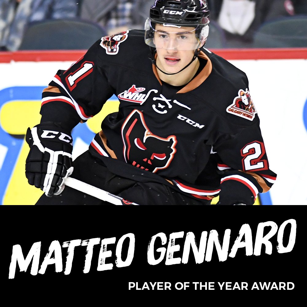 The prestigious Player of the Year Award is for..... <a href="/gens_21/">Matteo Gennaro</a>!!! #hitmenawards