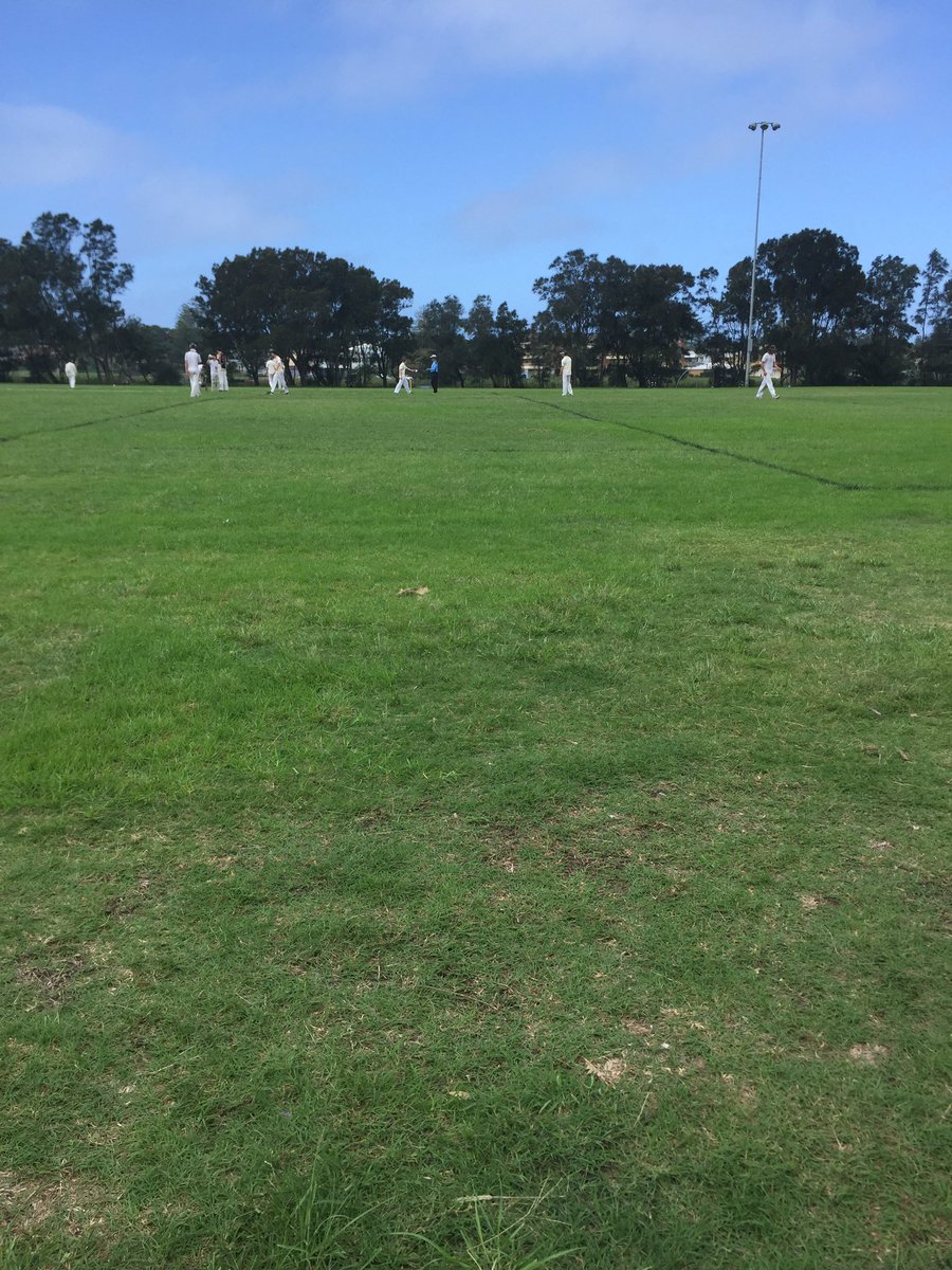 CricketCPCC's tweet photo. LIVE GRAND FINAL ACTION AT LAKE PARK!!! Terry hills 8/120 #CPCC #MWCA https://t.co/9czj0WPVKy