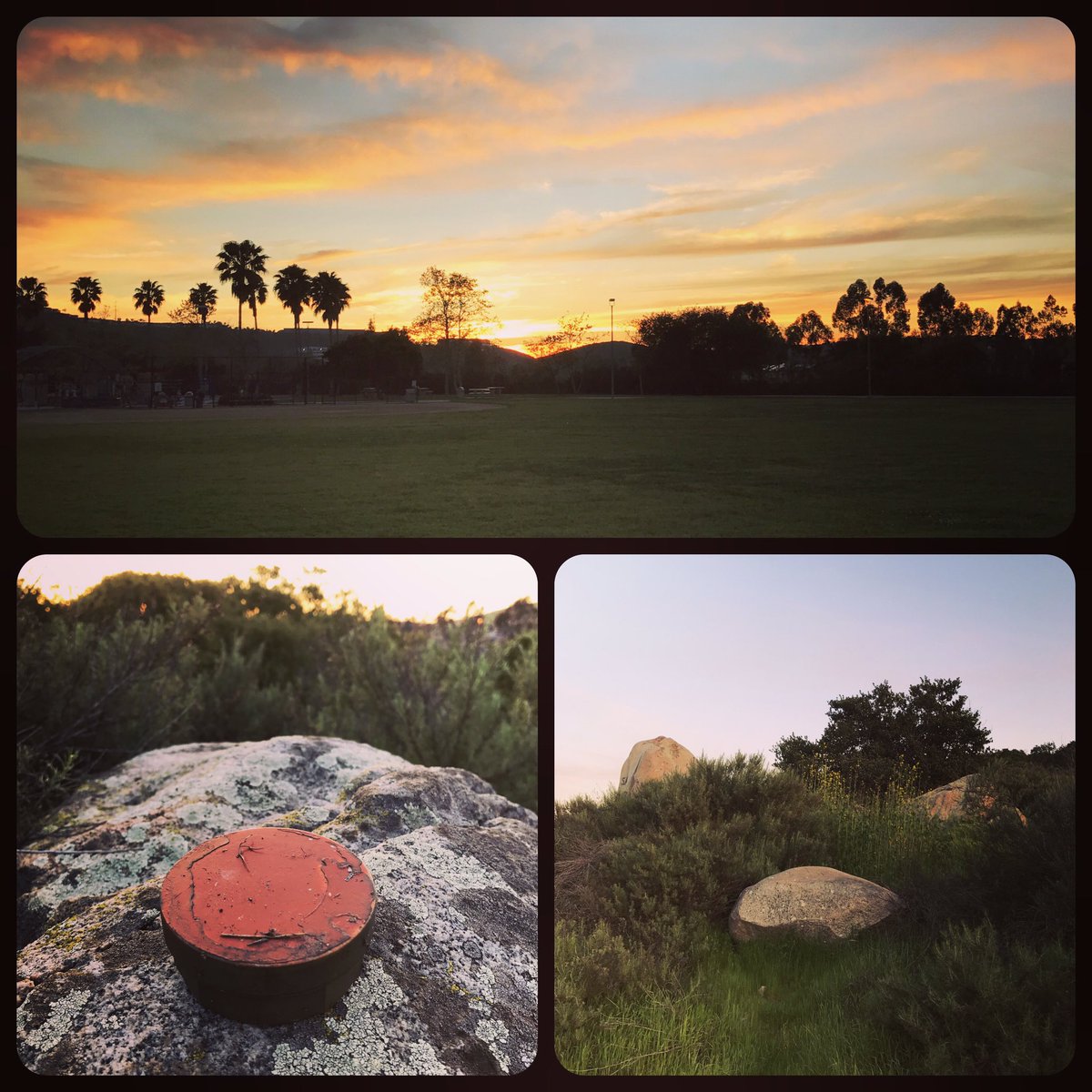 Roaming Relic tweet media