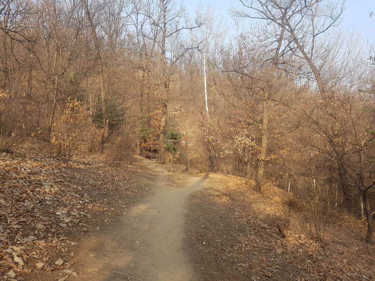 sn_hanjaelee's tweet image. #성남시 에 #건조주의보 가 발효됨에 따라
#성남시공무원 전직원이 
산불 감시 및 예방활동을 전개하고 있습니다
우리의 소중한 자산!
한순간의 실수로 잃어버리지 맙시다!

#영장산 #산불근무 #체육진흥과
#자나깨나산불조심