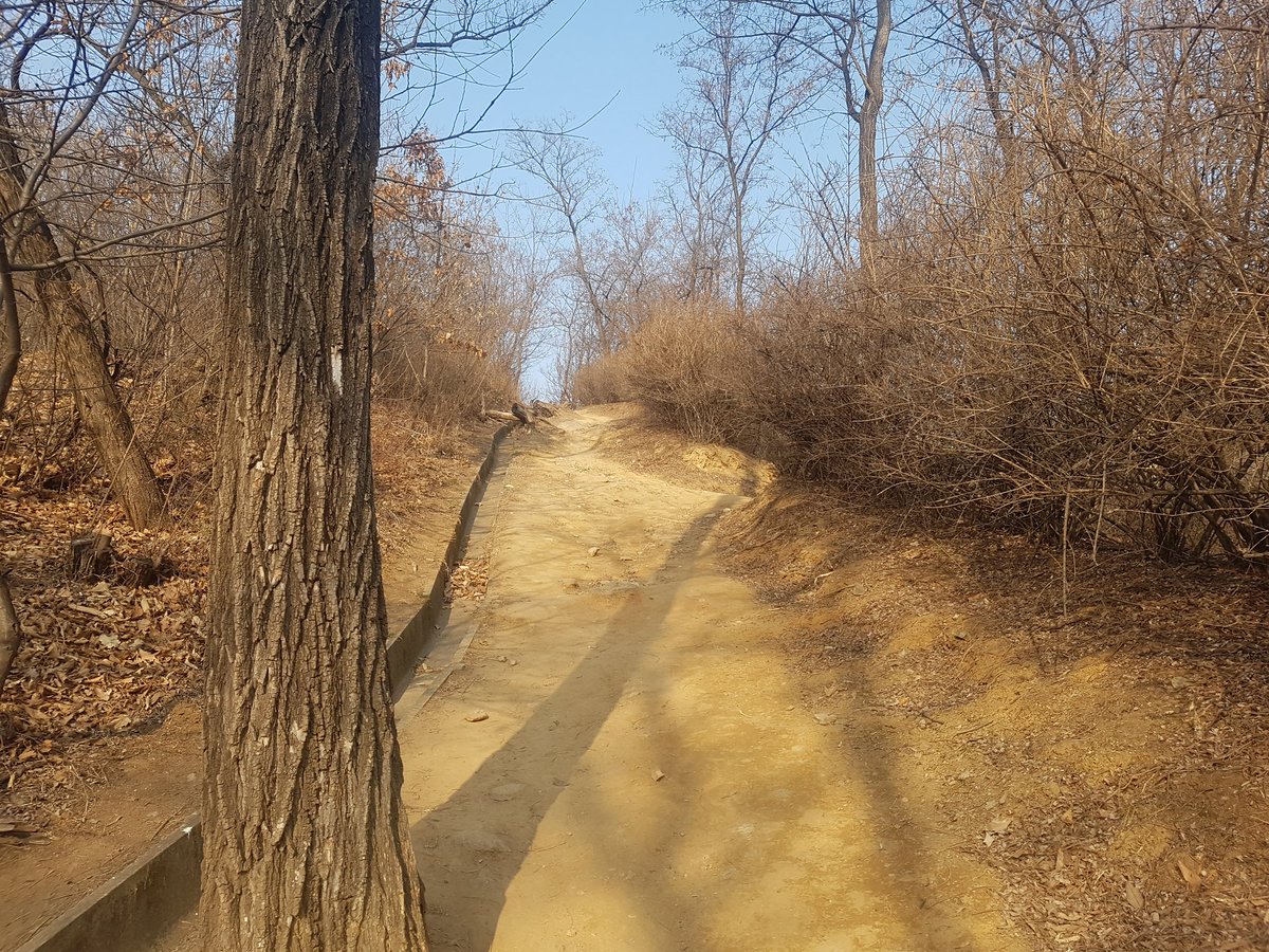 sn_hanjaelee's tweet image. #성남시 에 #건조주의보 가 발효됨에 따라
#성남시공무원 전직원이 
산불 감시 및 예방활동을 전개하고 있습니다
우리의 소중한 자산!
한순간의 실수로 잃어버리지 맙시다!

#영장산 #산불근무 #체육진흥과
#자나깨나산불조심