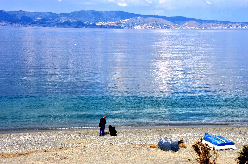 Logistilla tweet media