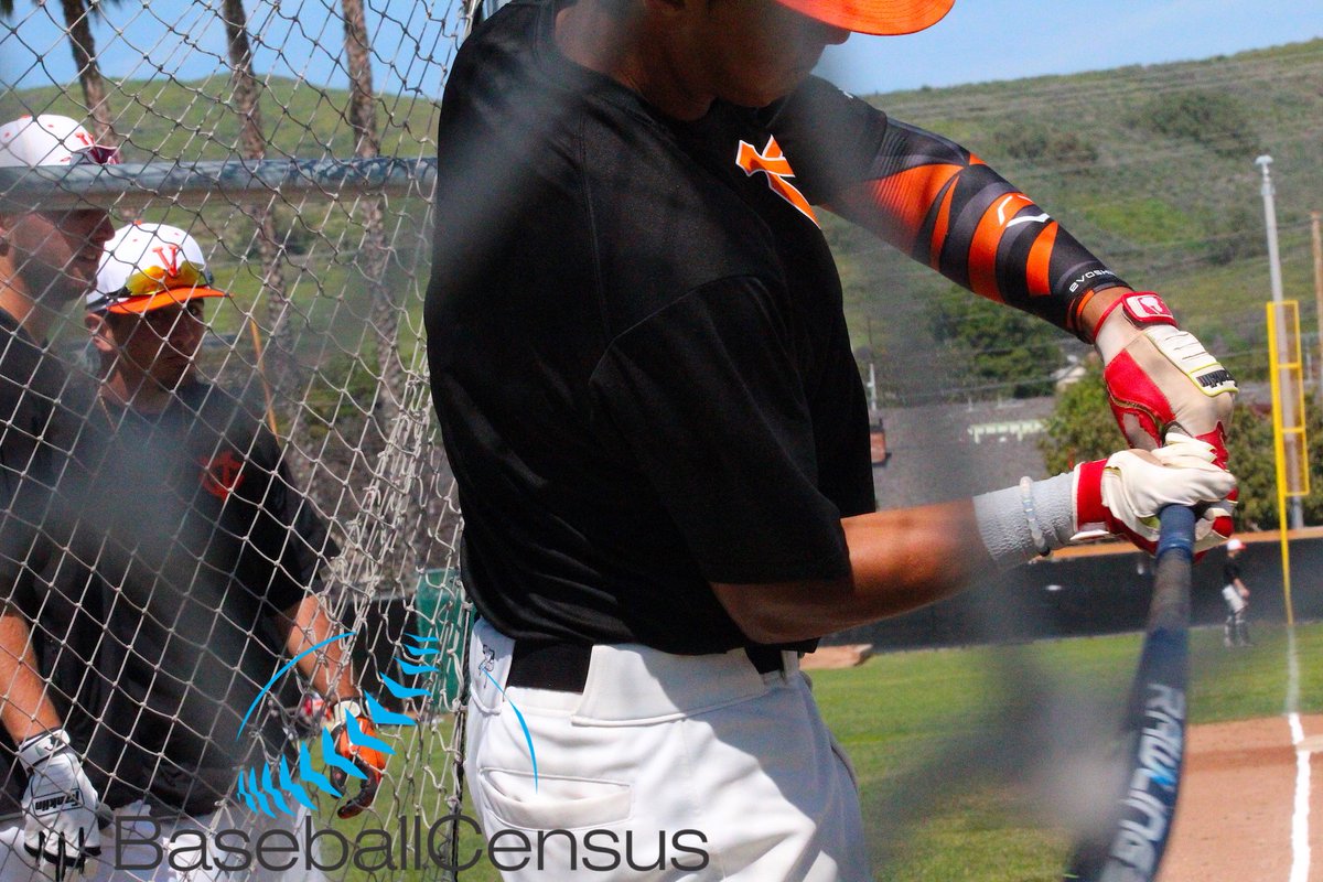 MinorLeagueBSB's tweet photo. Now this is bat speed... (taken during @vcpiratebsbl batting practice this week) https://t.co/dpzlsU7qcc