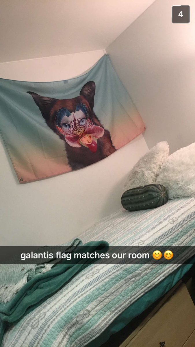 HIJAKK_Music's tweet photo. Such a dope banner and it fits the room perfectly!!! @wearegalantis #galantis #edm #basshead #shufflebabe https://t.co/3gki37OeKl