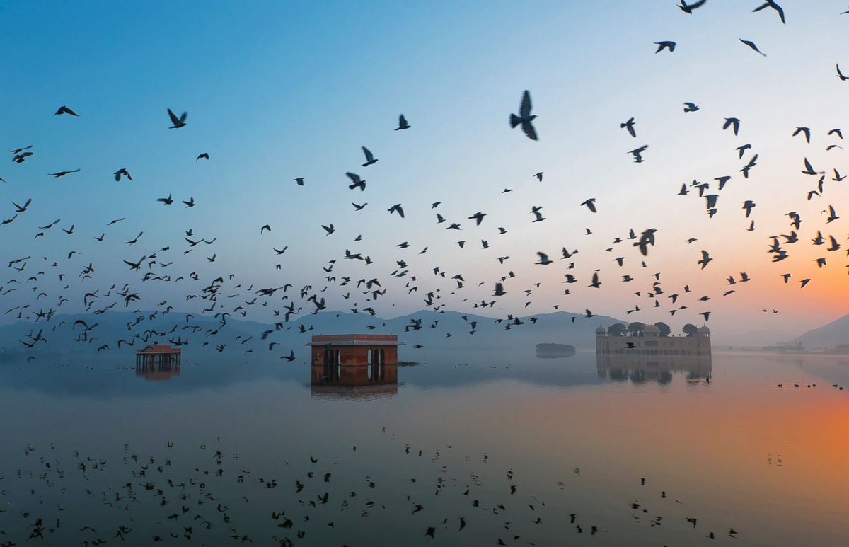 TravelSoloLife's tweet photo. Jal Mahal, #India 
#travel #SundaySightseeing https://t.co/0siv9gB0fm