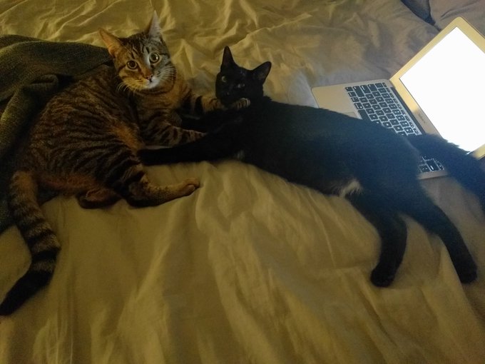 Goodnight!!!! https://t.co/LUSwpVEWGb