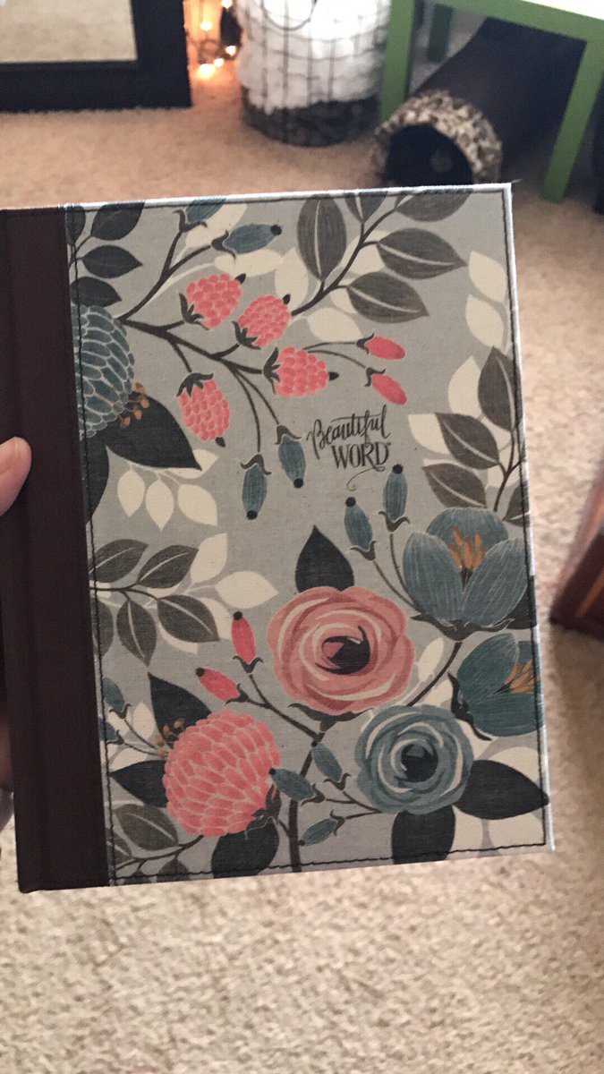 a_daugherty97's tweet photo. @kayrkelly the Bible journal has a few prefilled pages throughout and the rest are blank! https://t.co/c7oKimqLBj