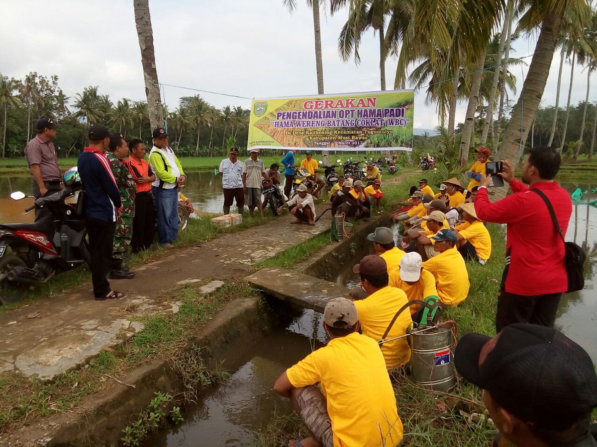 FsSumsel's tweet photo. Gerakan pengendalian WBC kec Tugumulyo THL POPT Tugumulyo 
@oyikkusuma ,@THLPOPTNASIONAL,@KomiteNusantASN,@alexnoerdin 
#SahkanRevisiUUASN https://t.co/Ff0KEKho06