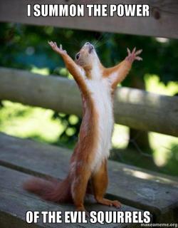 WiserInTime's tweet photo. #SquirrelTruth @Daddy_Warpig https://t.co/CQBN5q0qIt