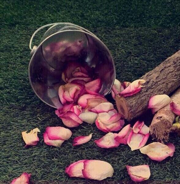 maasm909's tweet photo. 📚مماقرأت:
عندما تظن بأن بعد الشقاء سعادة ، وبعد دموعك إبتسامة فقد أديت عبادة عظيمة ألا وهي حسن الظن بالله 🌺 
#ومضة_درر 
#داعم_للخير https://t.co/2cIzKGcT7c