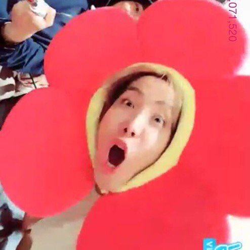 BTS_ARMY's tweet photo. Dear JHOPE, we feel bad because you didnt get to see our pretty ARMY flower over here. @bts_twt #BTSinBrazil https://t.co/oVrP1ubN7h