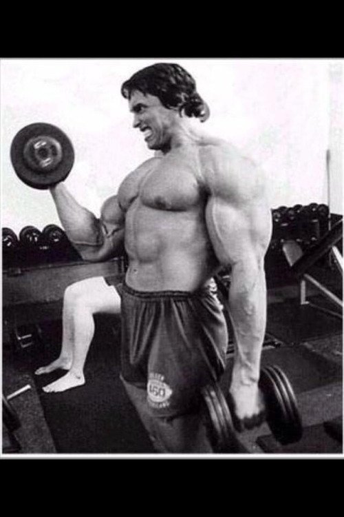 Gym Things tweet media