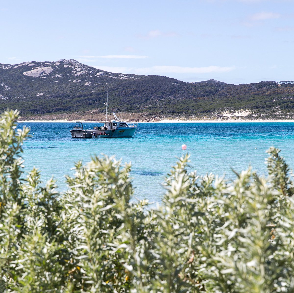 FlindersFresh's tweet photo. Cray boats &amp; Saltbush ... Summer Sundays in Autumn! 

#tassiestyle #flinderslife #flindersisland #lovesundays #discovertasmania https://t.co/OQLoOayFDf