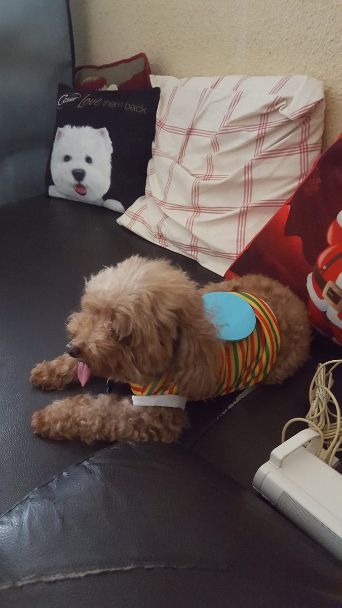 ThingsOnFluffy's tweet photo. #ThingsOnFluffy #ThingsOnDoggie #PostItPad #StickyNotePad https://t.co/vnznv9GEZ4
