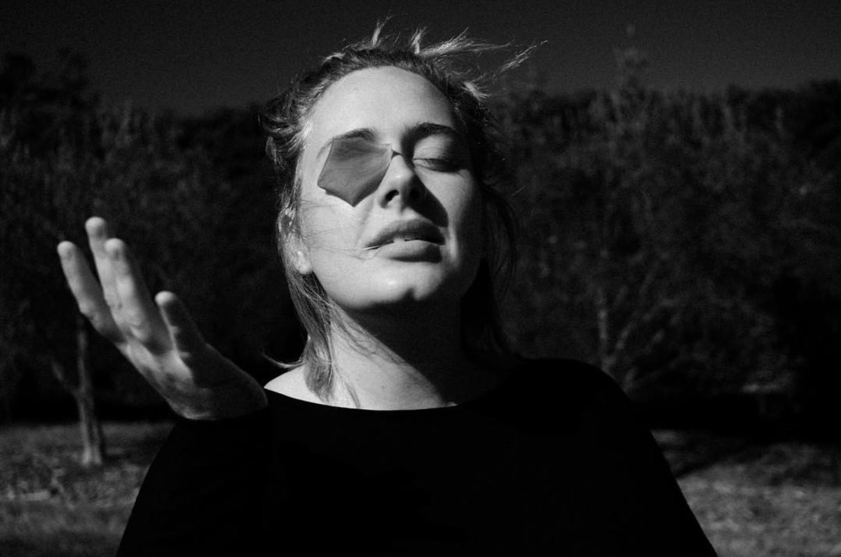 AdelesNever2's tweet image. cuando un pétalo/hoja tiene mas suerte que un daydreamer