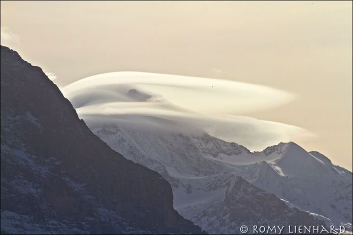RomyLienhard tweet picture