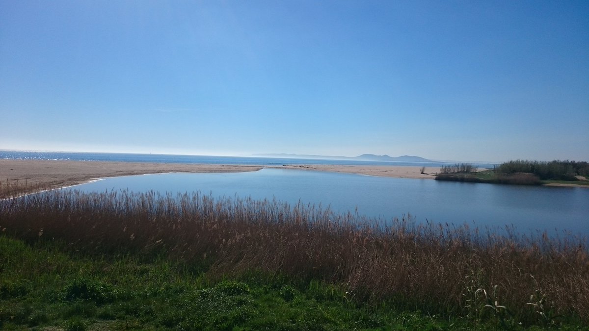 manelrplana's tweet image. 19 de març 2017

#Empordà #Privilegis #Mediterrània #LaMuga #EmpordàPower