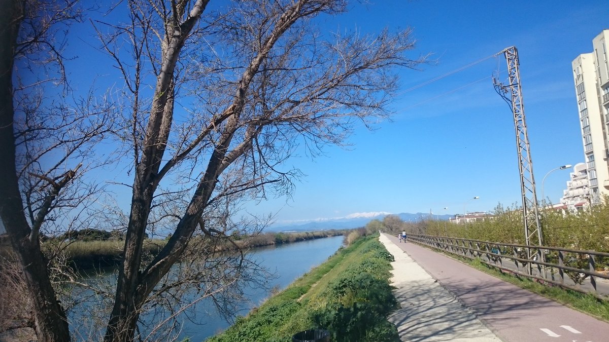 manelrplana's tweet image. 19 de març 2017

#Empordà #Privilegis #Mediterrània #LaMuga #EmpordàPower